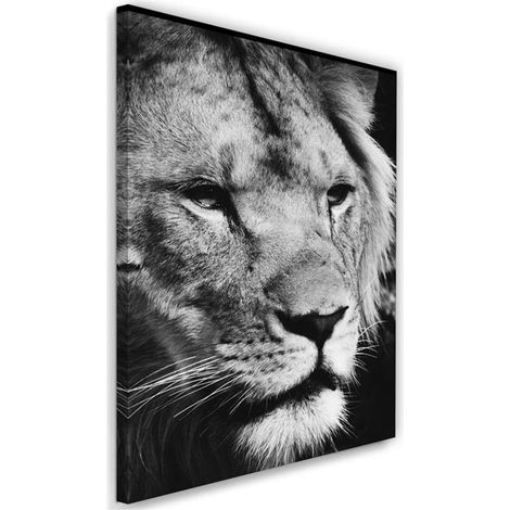 Cadre déco Lion d'Afrique Noir et Blanc 40x60 (1/5)