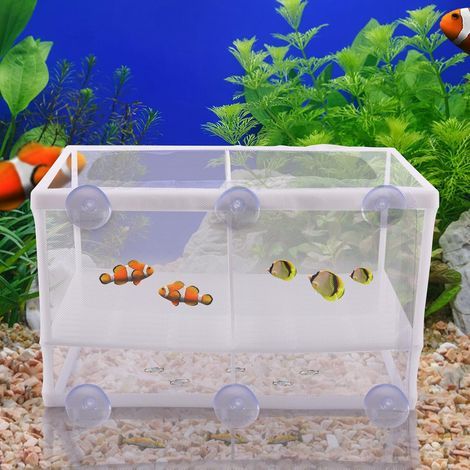 Breeding tank, separation net, 260x155x150mm, laying tray, 6 suction cups, aquarium (1/5)