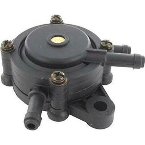 Pompe A Essence Universelle Briggs Et Stratton - 491922, 692313, 808656
