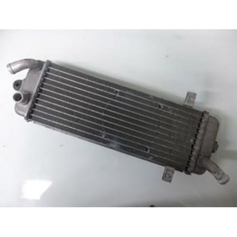 [GEBRAUCHT] [GEBRAUCHTWARE] Originaler Kühler für Suzuki 125 Scooter (1/2)
