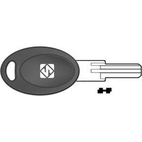 5PZ CHIAVI PUNZONATE PER CILINDRI EURO LOCKS 5 SPINE EU21P - EU21P