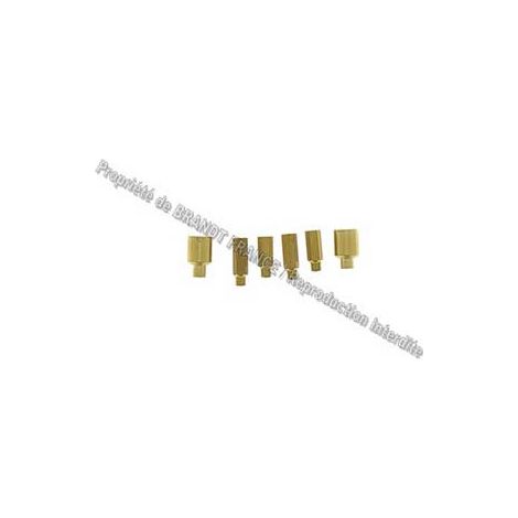 SACHET INJECTEURS GAZ NATUREL POUR CUISINIERE   THOMSON - 79X6065 (1/2)