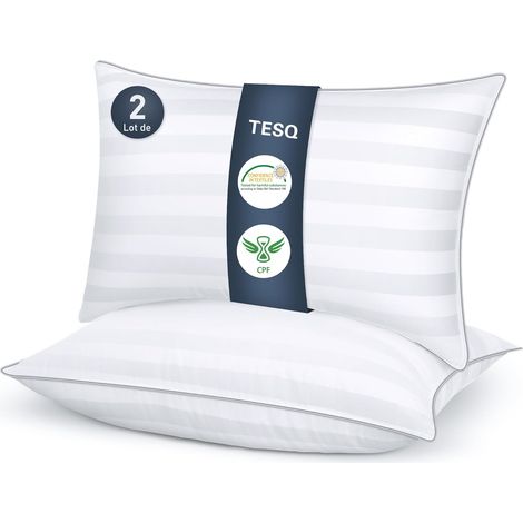Oreiller 50x70 cm Lot de 2 Oreillers Confort Moelleux, Lavable (1/5)