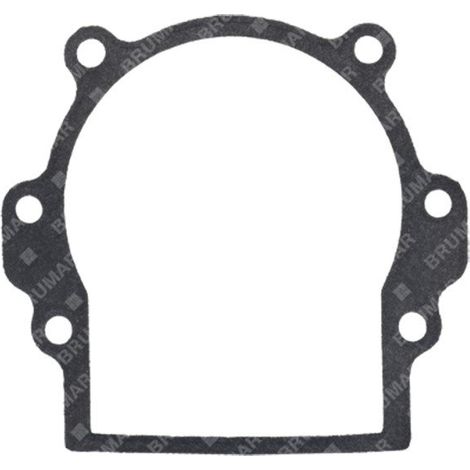 Kurbelgehäusedichtung des BLX-Motors – 054768