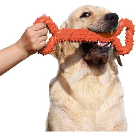 Chien Jouets à macher Résistant en Caoutchouc 13 inch Os Jouet en Forme de Chien Chiots avec Convex Design Jouet Chien interactif Solide pour Les Chewers Agressifs Petits et Grands Chiens- Orange-Fei (1/5)