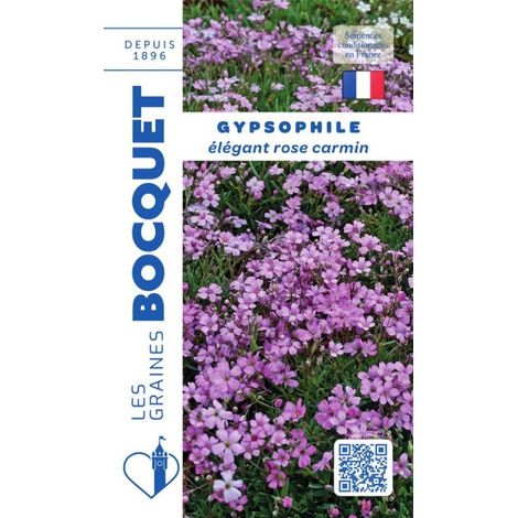 Gypsophile Elégant rose carmin - 2,5g