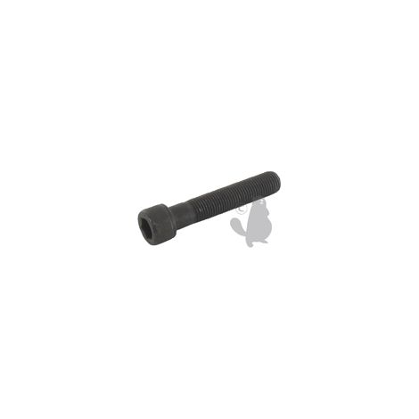 Perno de cuchilla con cabeza de inviolable para Sabo - L: 50 mm, ø: 3/8-24 unf mm. Reemplaza origen: 11903, Sa11903, 29475, Sa29475, 29745, Sa29745