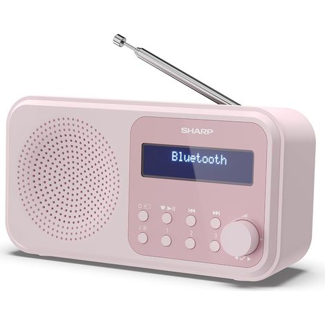 Radio numérique Portable Tokyo (Dab/Dab+/FM avec RDS, Bluetooth, USB ou Piles) Rose (1/5)