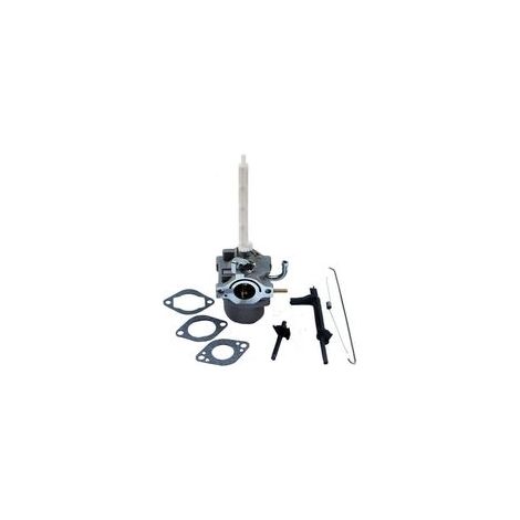 Carburatore DOLASO per Briggs & Stratton 796122 794593 20A (1/4)