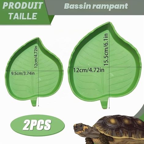 Terrarium Tortue Terrestre Bols Eau Nourriture, Gamelles Reptiles Vert Forme Mangue Aile Taille Grand Petit (1/4)