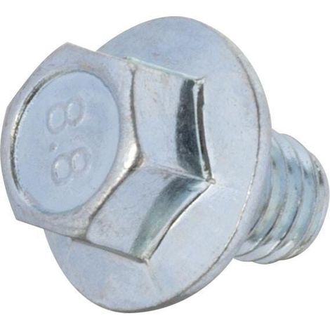 Vite BRIGGS ET STRATTON 590683
