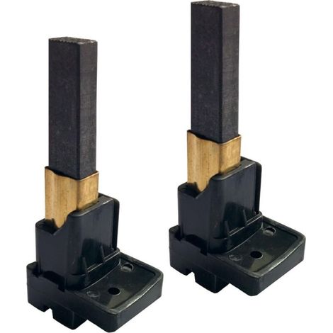 Balais de carbone avec support moteur Dyson YDK DC08 / DC11 / DC19 / DC20 / DC23 / DC37 (1/4)