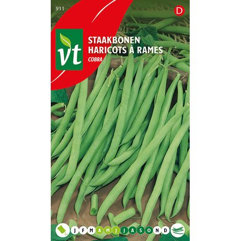 Haricots à Rames Cobra - Ca. 40 gr (Livraison Gratuite)