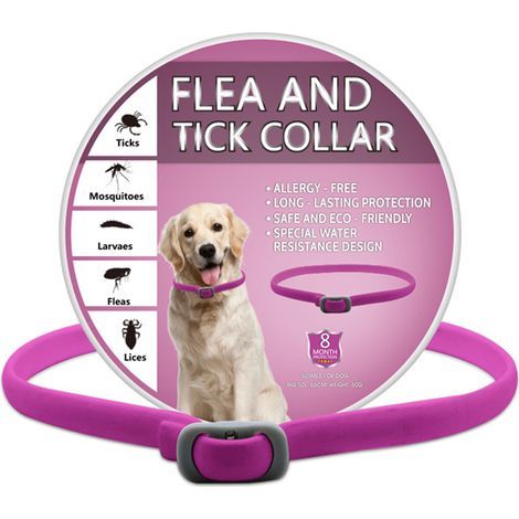 Flohhalsband für Katzen, wirksame Flohbehandlung und langanhaltender Schutz (1/5)