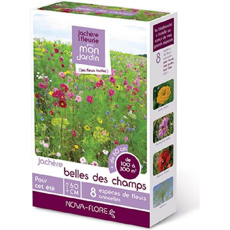 Mélange de fleurs prairies fleuries 100 m² – Fleurs annuelles et vivaces – Semis de mars à juin – Floraison 3 mois – Achat Nature (1/2)