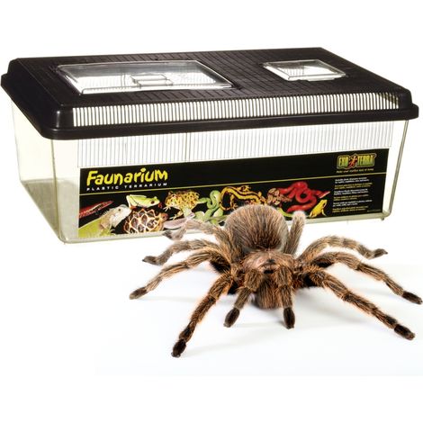 Exo terra Faunarium mediano plano Mediano 36 x 22 x 16,5 cm EX-3003 (1/5)