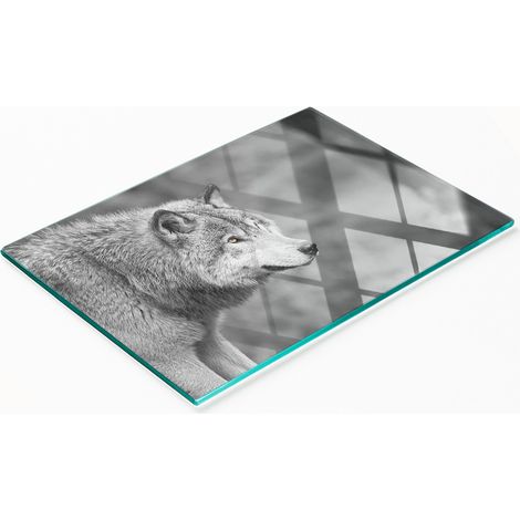 Tableau décoratif multifonctionnel en verre avec motif de loup gris 80x52 cm (1/5)