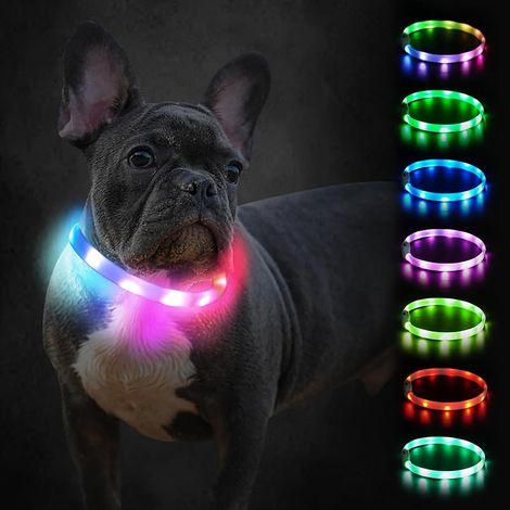 Collier Lumineux Chien Rechargeable USB-C, 9 Modes LED, 45 cm Visible la nuit, Découpable à la longueur voulue, Silicone souple, Résiste aux éclaboussures, Pour petits et moyens gabarits (1/5)