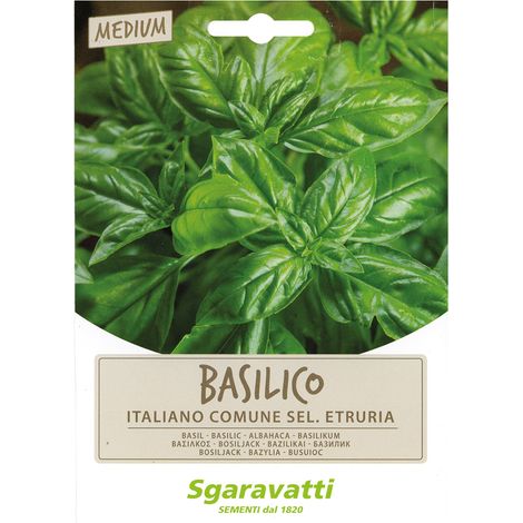SEMI PER ORTAGGI E VEGETALI basilico italiano comune sel. Etruria Q.TA 10 basilico italiano comune sel. Etruria