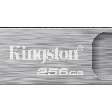 Kingston Technology DataTraveler 256GB ® Kyson 220 MB/s Metall USB 3.2 Gen 1 (1/5)