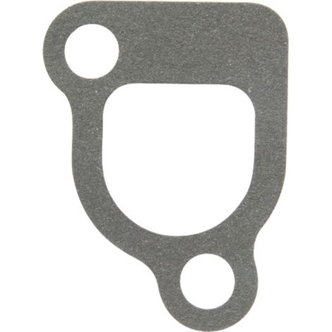 Ansaugkrümmerdichtung für BRIGGS & STRATTON 30270794