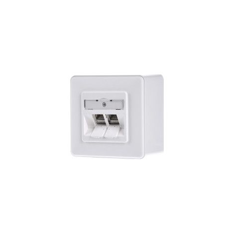 BTR NETCOM Anschlussdose C6Amodul AP 2Port 180 AP,rws TN C6Amod-2AP-180rw