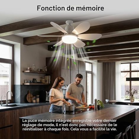 Ceiling Fan with Light and Remote Control, Ultra-Quiet Chandelier Ceiling Fan with E27 Socket, 3 Speeds Continuous Brightness and Color Temperature Adjustment for Bedroom (1/5)
