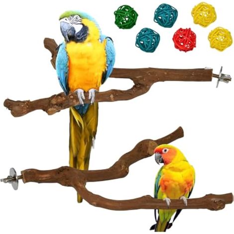 Lot de 2 Perchoirs en Bois de Vigne Naturel + 6 Balles en Rotin, Jouets à Mâcher pour Oiseaux, Réduit l'Anxiété et l'Agressivité, Accessoires de Cage pour Perruches, Calopsittes, Perroquets (1/5)