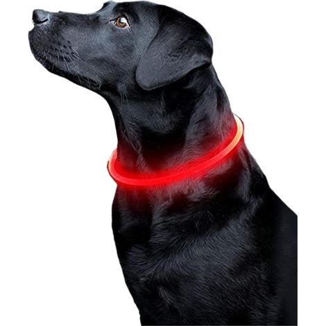 Collier pour chien rouge longueur 30 cm 1 collier de sécurité pour animaux de compagnie à lumière fluorescente permet aux chiots d'être vus la nuit (1/5)