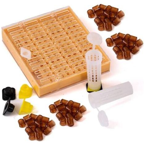 Kit elevage commplet Reines avec système Nicot pour Apiculture Outils d'élevage Reine des Abeilles-Chrom (1/5)