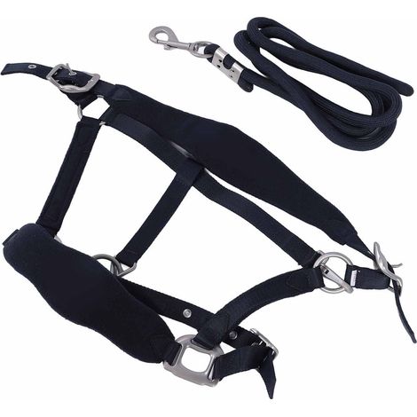 Ensemble licol pour cheval anti-frottement, réglable, avec laisse de 2 m pour l'entraînement quotidien, bleu marine, taille L. (1/5)