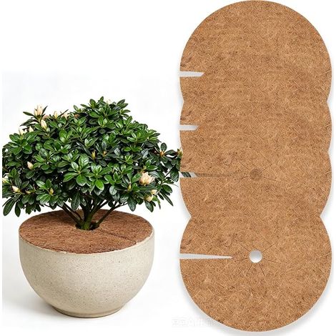 Lot de 4 Tapis de Coco pour Plantes, Disques de Paillage en Fibre de Coco Biodégradable 40 cm, Protection des Racines et Barrière Contre les Mauvaises Herbes, Idéal pour Plantes en Pot Hivernage (1/5)