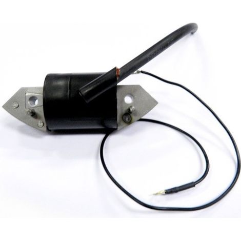 Bobine allumage Bernard moteur 013549, 13549