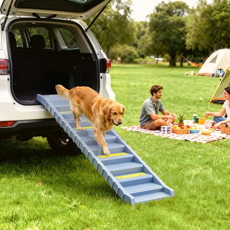 Rampe pliable à 10 marches pour chiens, idéale pour les voitures et les lits hauts, grise. (1/5)