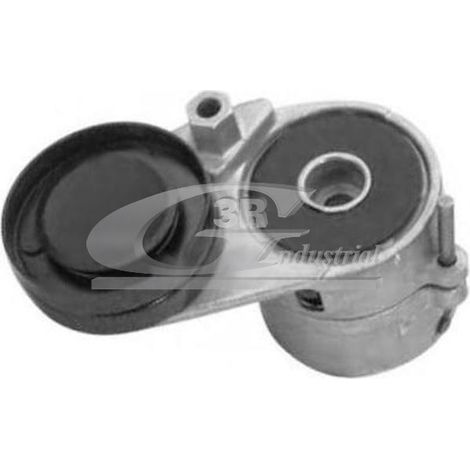 3RG 13712 RODILLO TENSOR