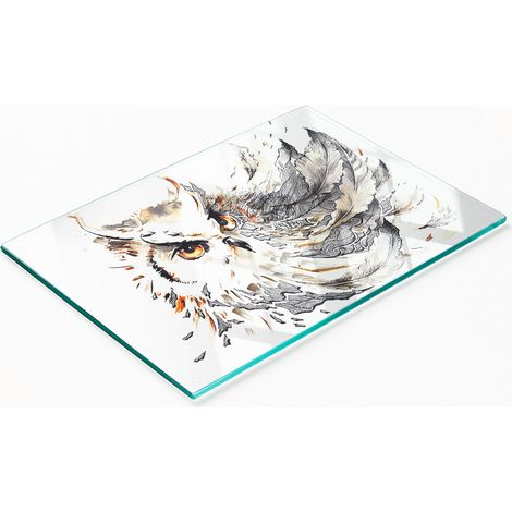 Planche décorative en verre avec motif hibou pour présenter des amuse-gueules 80 x 52 cm (1/5)