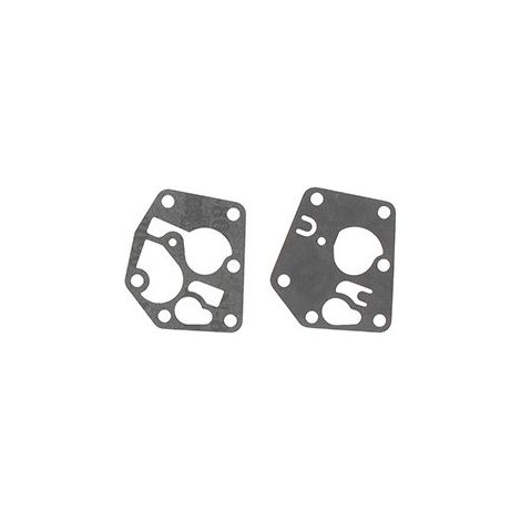 Membrana + Joint BRIGGS et STRATTON 495770 - 281028 - 795083