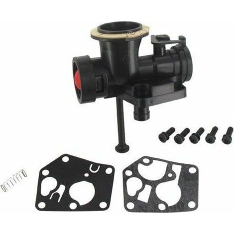 Carburateur Briggs Stratton sur réservoir (1/4)