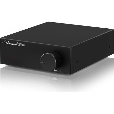 Mini Amplificateur Numérique de Classe D : Amplificateur Stéréo Domestique HiFi TPA3116 60 W x 2 pour Enceintes Passives (NS-06G) (1/5)