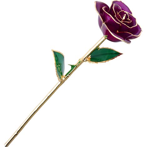 Exclusivité FBA - Feuille verte rose dorée premium violette (1/5)