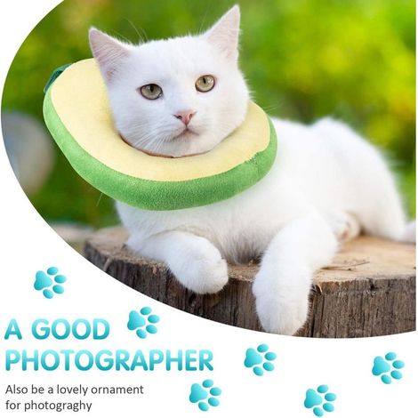 Collier de récupération de chat,Collerette pour Chat Collier de Récupération Collerette de Protection Ajustable Cne de Cicatrisation Confortable Souple en Soft Edge Conu pour Les Chats,chien.(M) GROOF