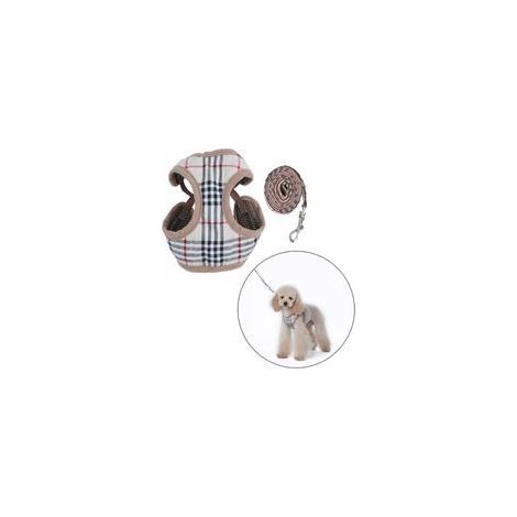 Geschirr für kleine Hunde, Größe S – Weiches Netzgewebe – Abnehmbare Leine – Brustumfang 30-40 cm für Hunde mit einem Gewicht von 2-2,5 kg (1/5)