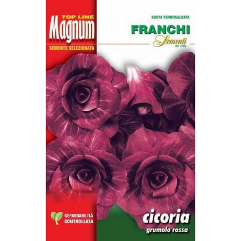 SEMI CICORIA ROSSA VERONA TARDIVA GRUMOLO ROSSA BUSTA MAGNUM FRANCHI SEMENTI