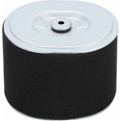Filtre à Air Gx390 Filtre à Air Filtre à Air Af Ze28 Moteur Gx390 Pièces de Nettoyeur Haute Pression Gx390 294, Accessoire de Remplacement de Filtre à Air pour Tondeuse à Gazon pour Moteur Hond