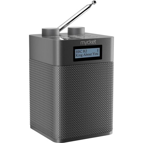 Dab/Dab+ Radio Numérique et FM, Radio Intégrée Alimentée par Batterie 2200 mAh, Portable & Rechargeable Dab Radios avec Disque Bluetooth/U, 80 Stations Préréglées, Prise Casque, Ecran LED (1/5)