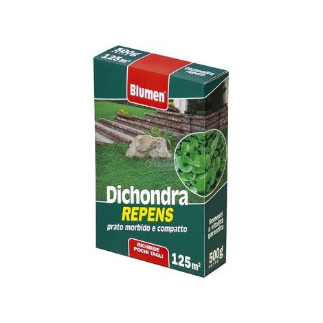 PRATO DICHONDRA REPENS 500GR (1/2)