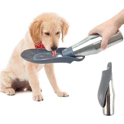 Bouteille d'Eau de Voyage pour Chien - 750 ML / 27oz, Distributeur Portable en Acier Inoxydable, Gourde Anti-Fuite (Gris) (1/5)