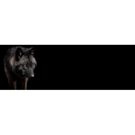 Tableau sur toile loup noir 30x97 cm - Impression sur Toile Murale Décorative - Image imprimée en HD sur Toile - Toile sur Châssis en Bois FSC - Fabriqué en France (1/5)