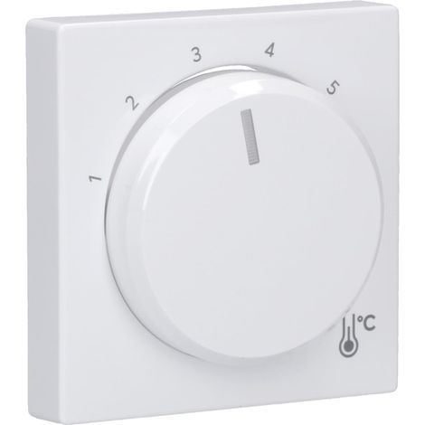 BUSCH JAEGER BJ 1794 R-84 1794 R-84 Zentralscheibe Temperatur. rund