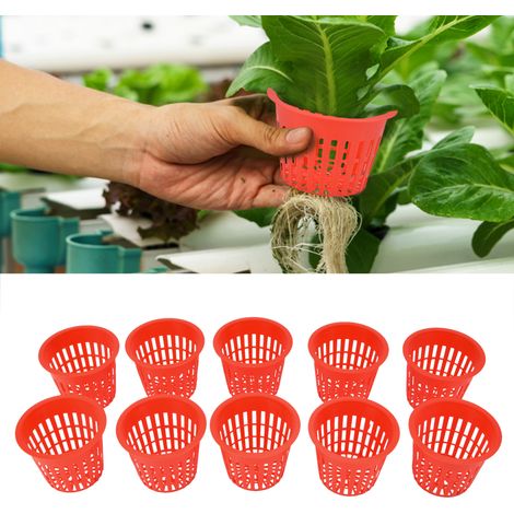 Cesta de cultivo hidropónico – 10 unidades – cesta de plantación de malla plástica (8,3 x 6,5 x 5,5 cm) – Roja (1/5)
